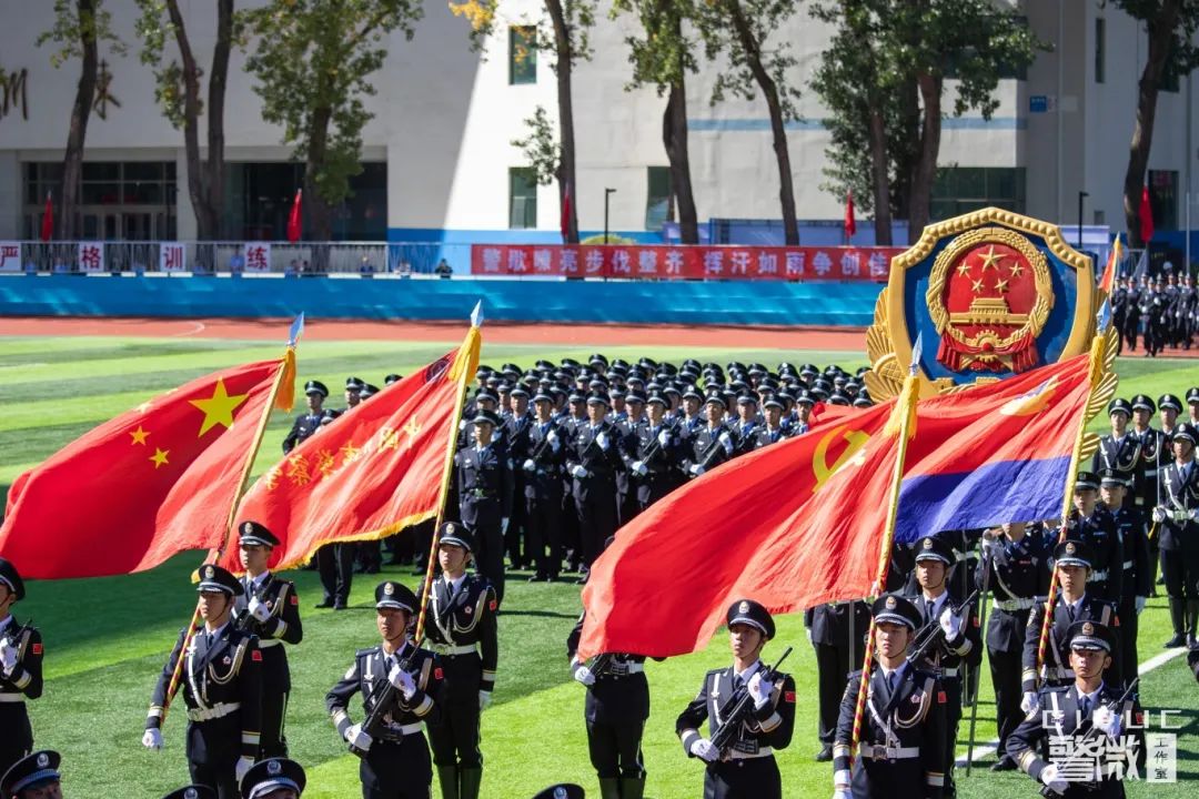 图片 图片
