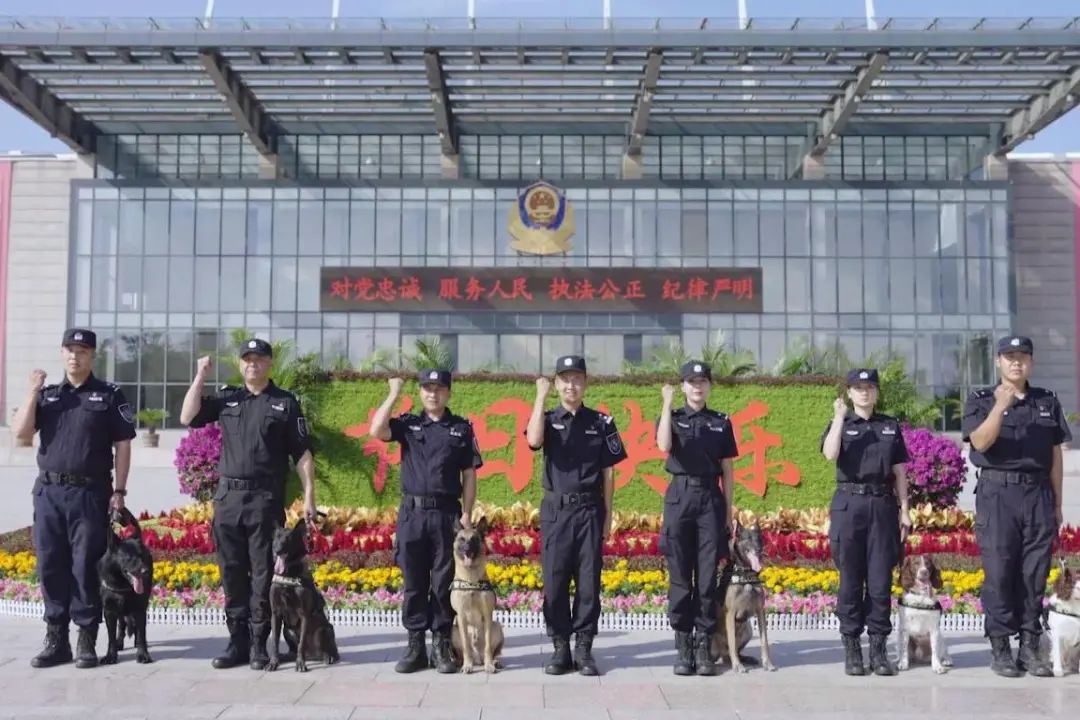 图片 图片